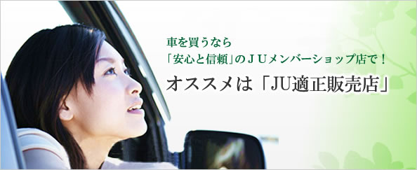 画像の説明